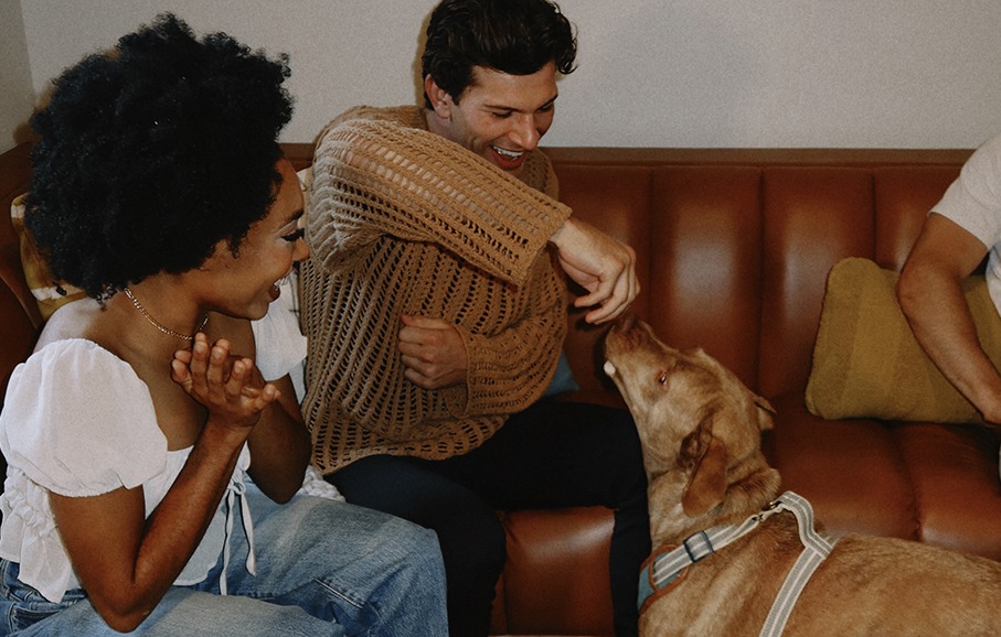 friends playing with a dog